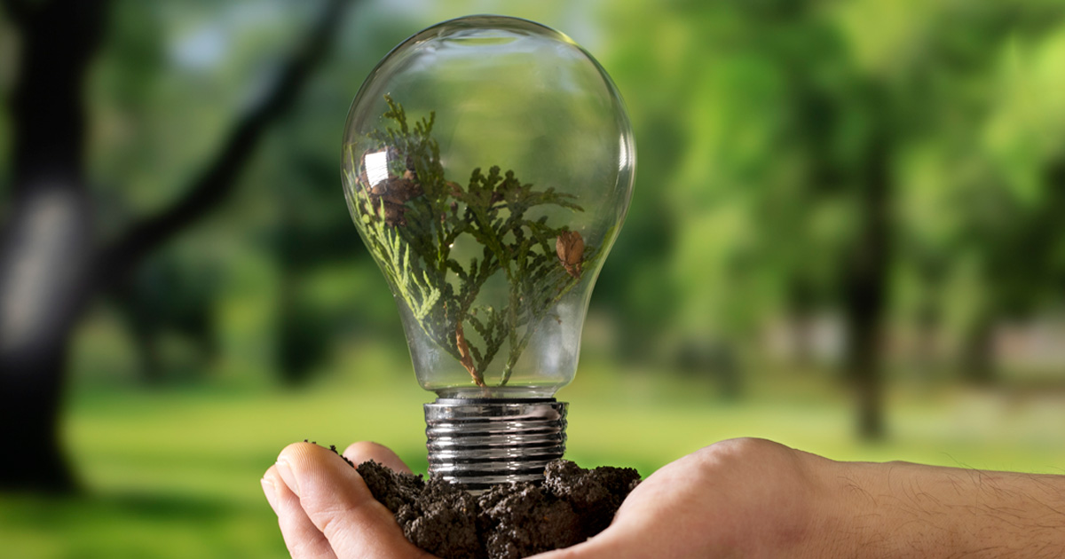 Pasos para obtener Certificados de Energía Limpia CEL y cumplir con las normativas en 2025